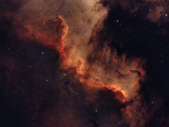 NGC 7000 "Feuervogel"