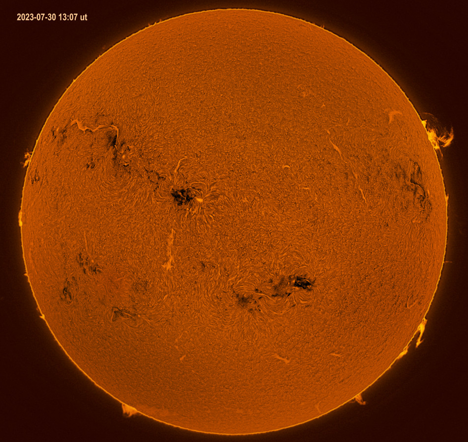 Sonne in H-Alpha 30. Juli 2023