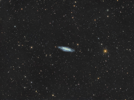NGC 4236 / C3