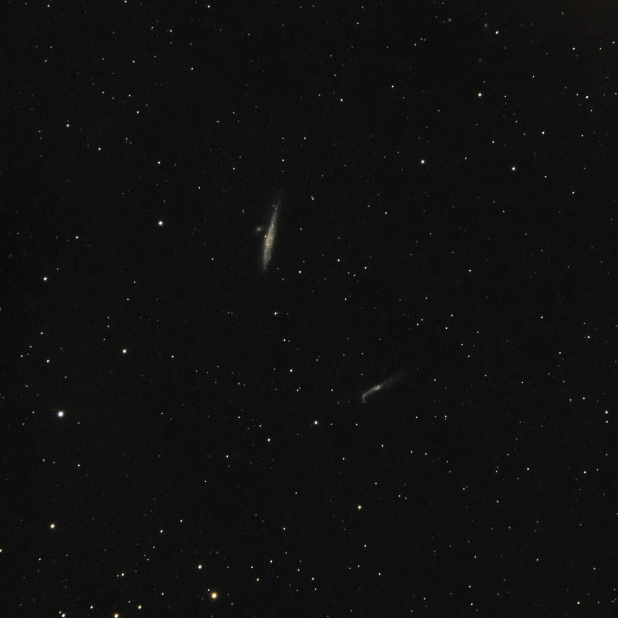 NGC 4631 - 10.08.2023