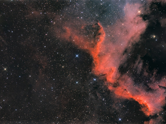 NGC 7000  Feuervogel
