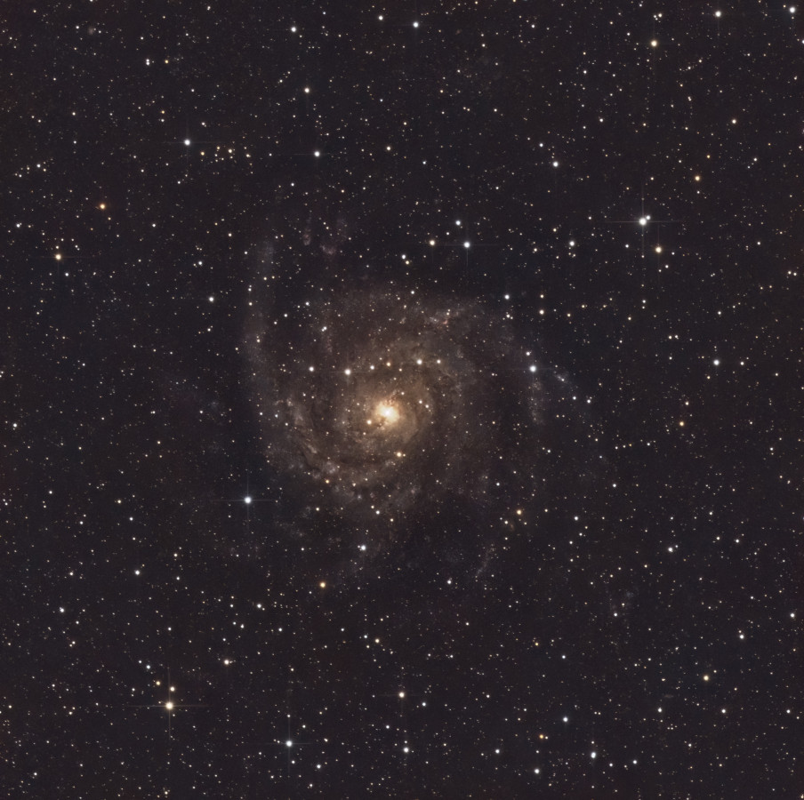 IC342 ("Hidden Galaxie")