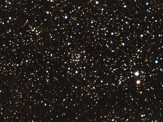 IC1369 Offener Sternhaufen mit der Vaonis Stellina