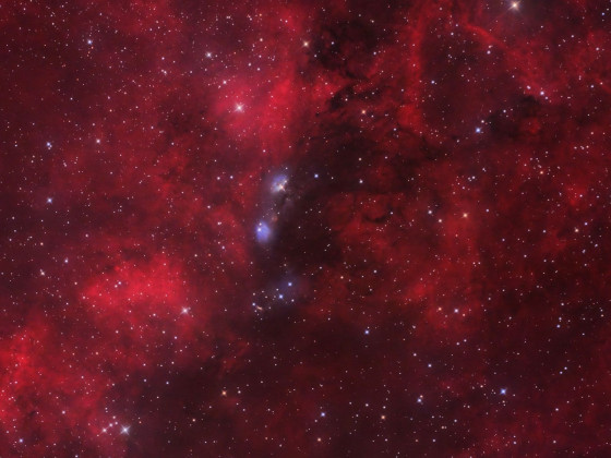NGC6914 und vdB131/132