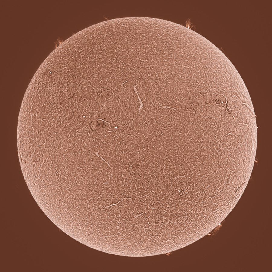 Sonne in H-alpha am 19.08.2023 (invertiert)
