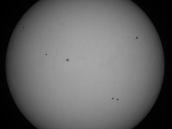 Sonne 19.08.2023 - 8" Newton - EOS 700D - Weißlicht