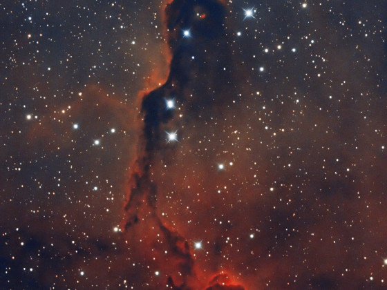 IC1396, Detailstudie