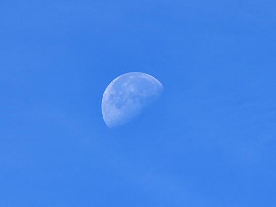 Mond bei Tageslicht am 05.09.2023