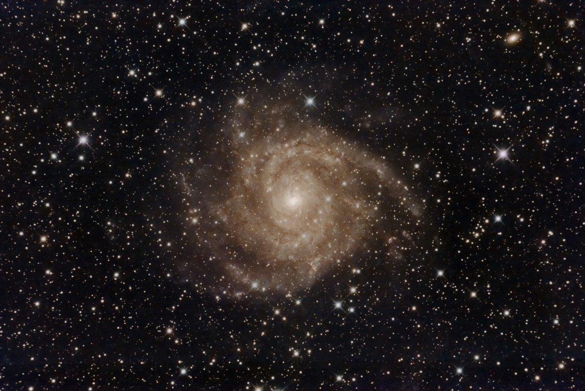 IC 342 - "The hidden Galaxy"