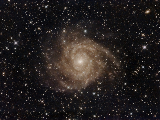 IC 342 - "The hidden Galaxy"
