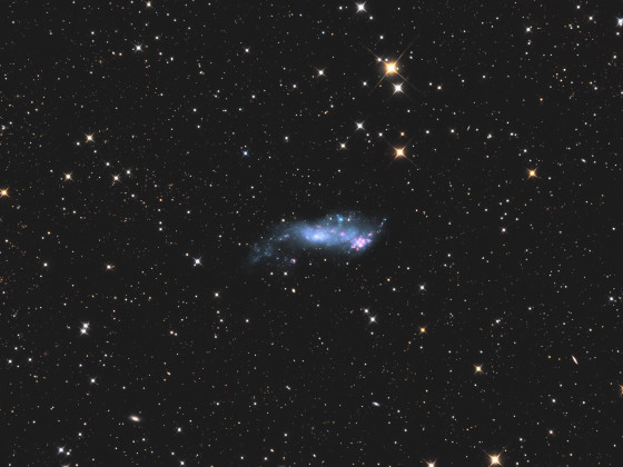 IC 2574 - Coddington's Nebula