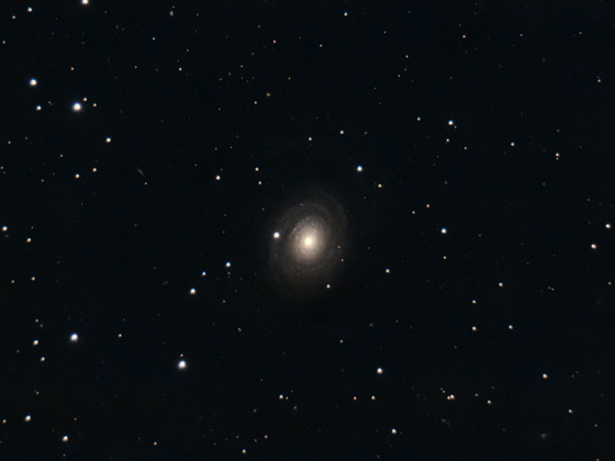 NGC2985 Galaxie
