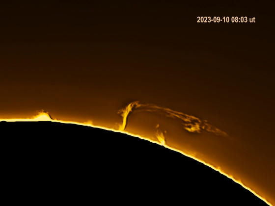 Protuberanz am Ostrand der Sonne 10. Sept. 23