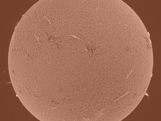 Sonne in H-alpha am 10.09.2023 (invertiert)