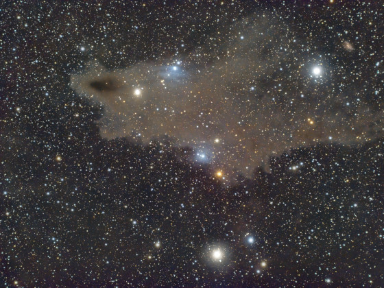 LDN1235, Dark Shark Nebula