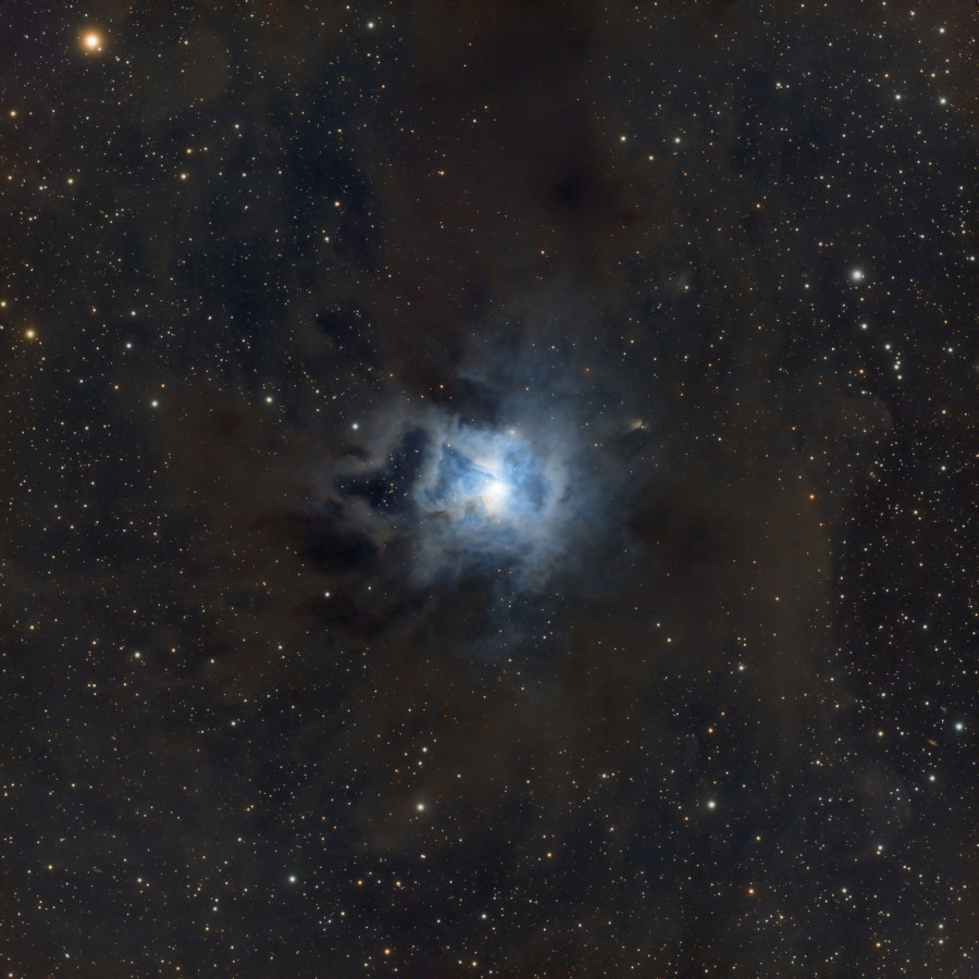NGC 7023 - Iris Nebula aus Berlin