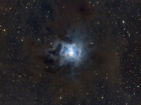 NGC 7023 - Iris Nebula aus Berlin