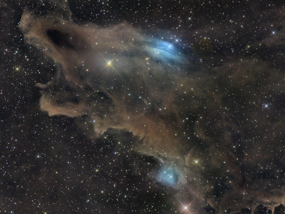 LDN 1235 Shark Nebula