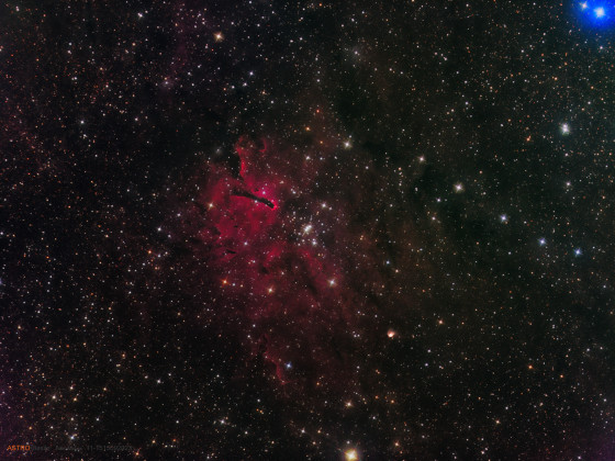 NGC 6823 und NGC 6820