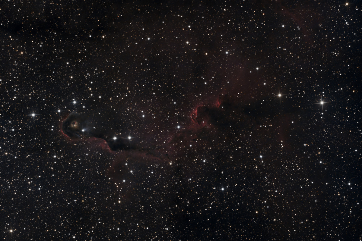 IC1396- Elefantenrüsselnebel