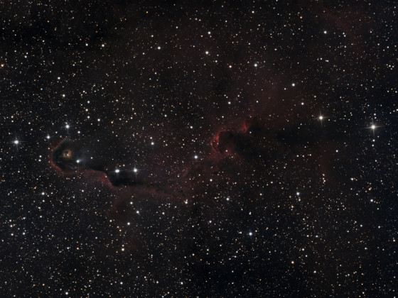 IC1396- Elefantenrüsselnebel