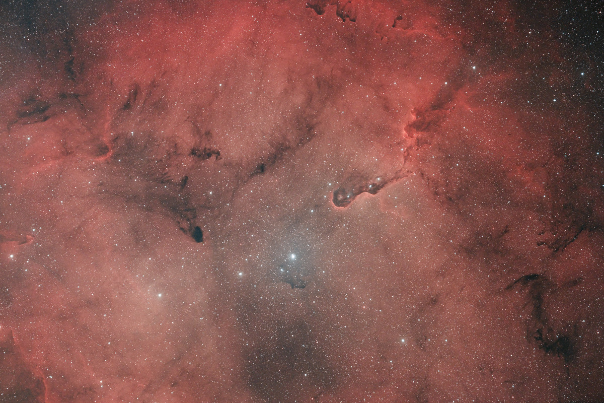 IC 1396 und die darin liegenden Dunkelnebelglobulen