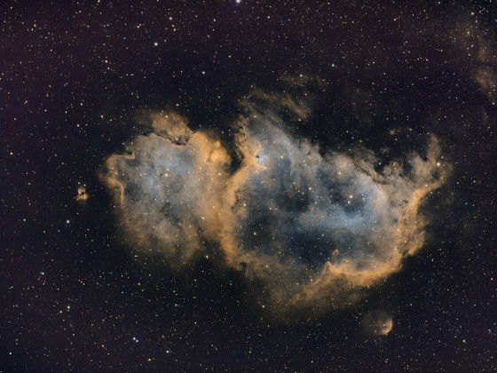 IC1848 SHO