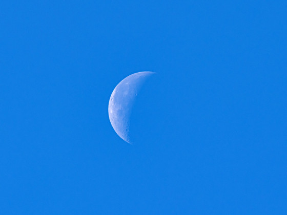 Tageslicht-Mond (36%, abnehmend) am 08.10.2023 um 12:03 Uhr MESZ