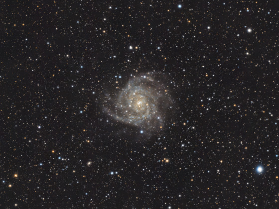 IC342 (Hidden Galaxy)
