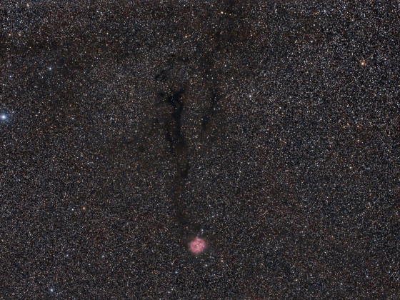 Cocoon Nebel (IC 5146)