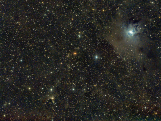 von vdb 141 (Geisternebel; unten: Mitte links) bis blauem Iris Nebel NGC 7023 im Cepheus; 6" Newton bei f/3; uv_ir Filter; 308x30sec; Canon 77da; 17.10.2023; bortle 6-7; Straßenlaternen;