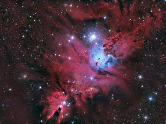 NGC 2264 - Weihnachtsbaum-Sternhaufen