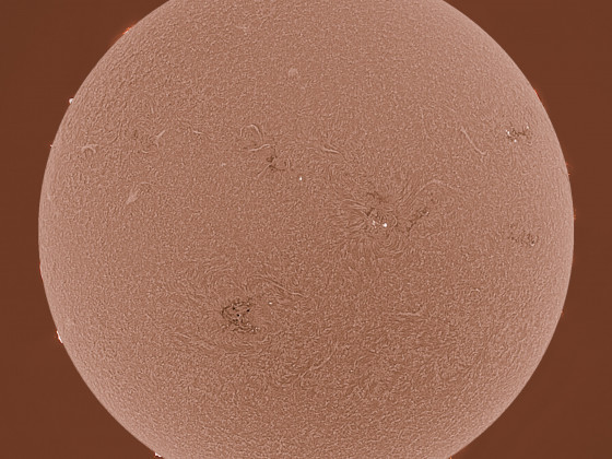 Sonne in H-alpha am 24.09.2023 (invertiert)