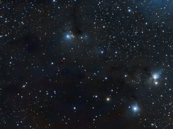 Reflexionsnebel IC446 (IC2167), VdB79, NGC2245 und NGC2247 im Monocerus mit dem Seestar S50