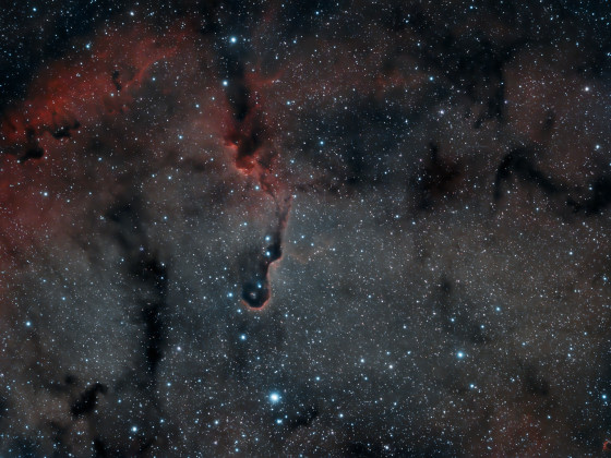 IC1396A Elefantenrüsselnebel