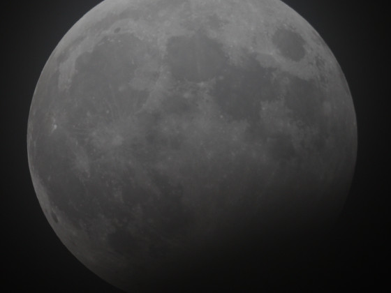 Mond - partielle Mondfinsternis 28.10.2023 - 8" Newton - EOS 700D - Einzelbild