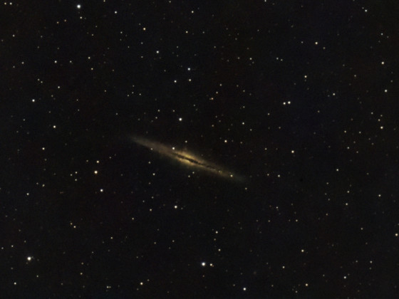 NGC891 Galaxie mit dem Seestar S50