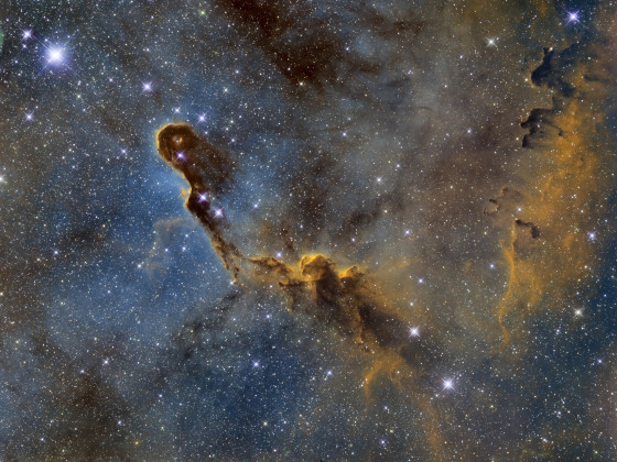 IC 1396A Elefantenrüsselnebel
