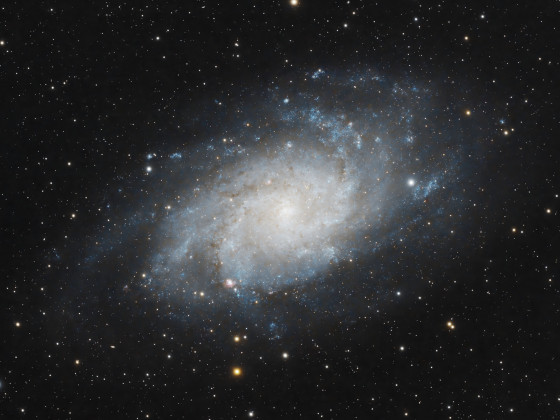 Dreiecks-Galaxie M33