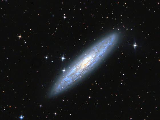 Sculptor Galaxie NGC 253