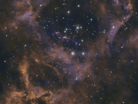 NGC2244 Falschfarben