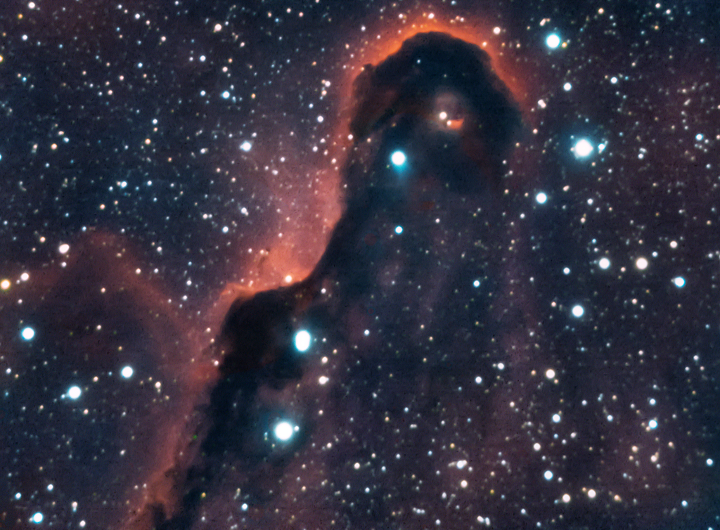 IC 1396 Elefantenrüssel-Nebel