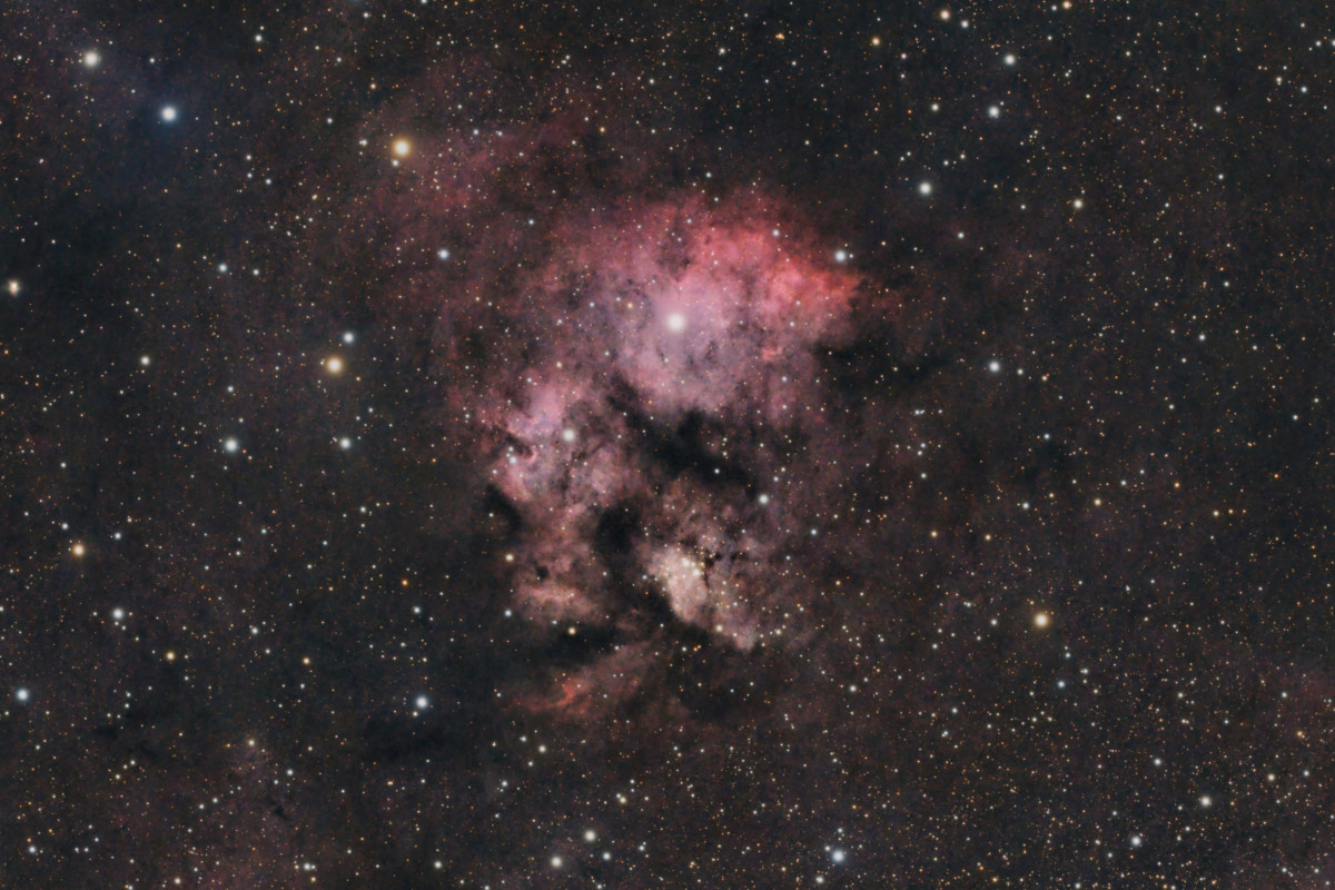 Cederblad (Ced) 214 in NGC7822 (Crop)