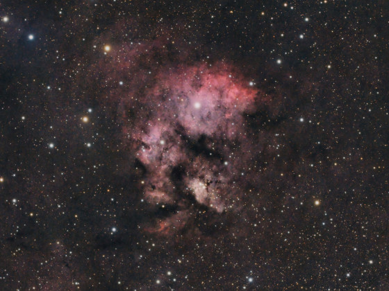 Cederblad (Ced) 214 in NGC7822 (Crop)