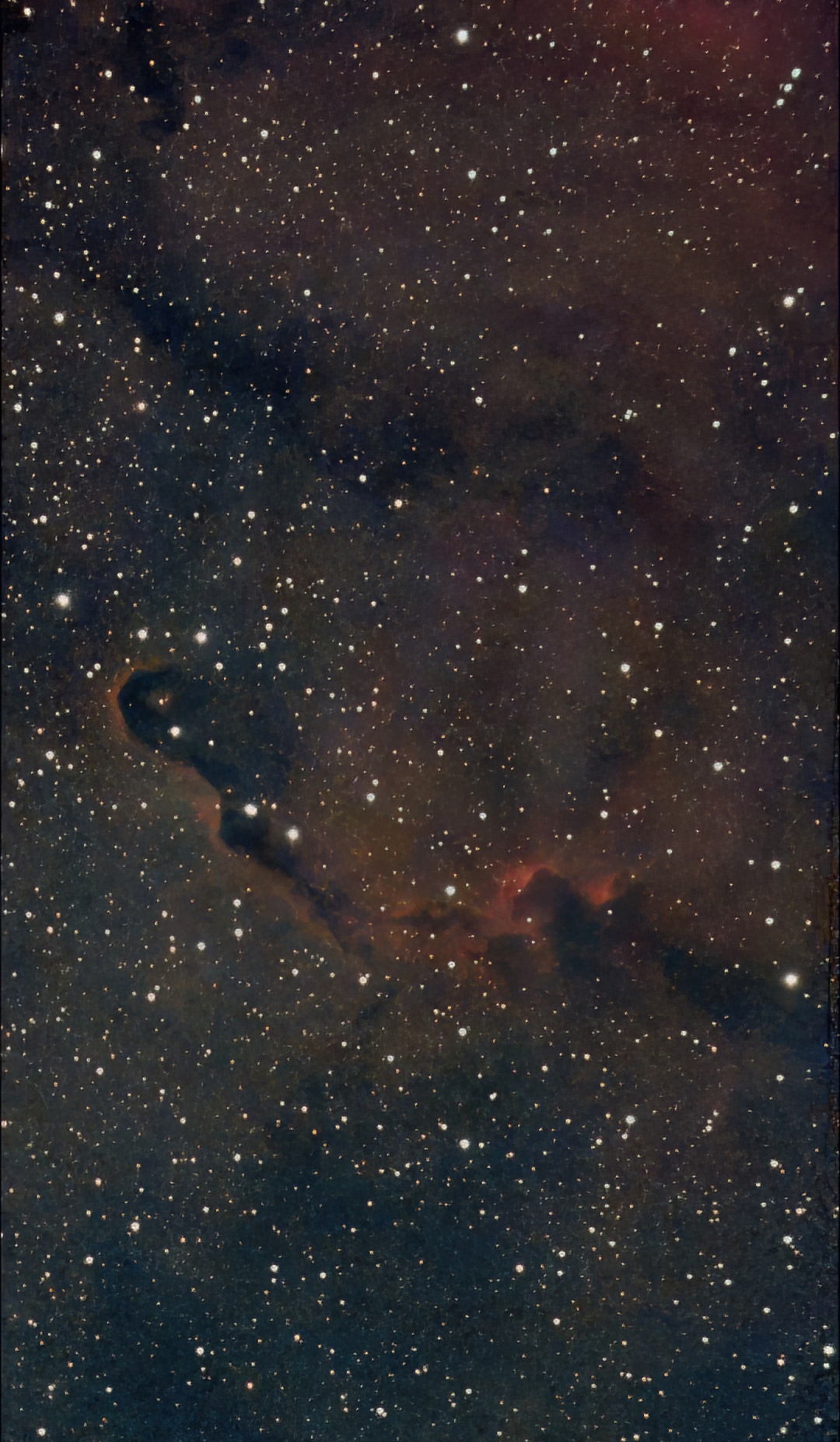 IC1396 mit dem Seestar