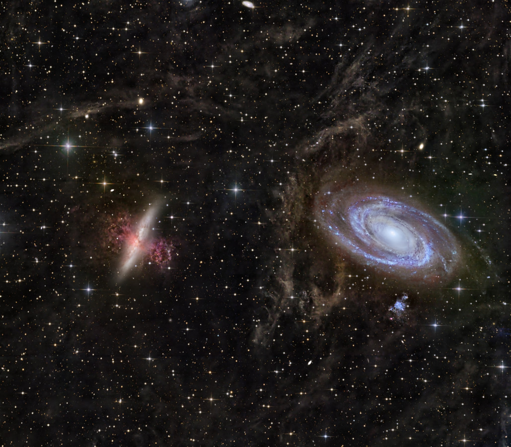 M81+M82+IFN
