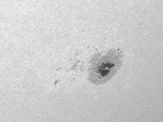 Sonnenfleck AR2385 vom 4.7.2021