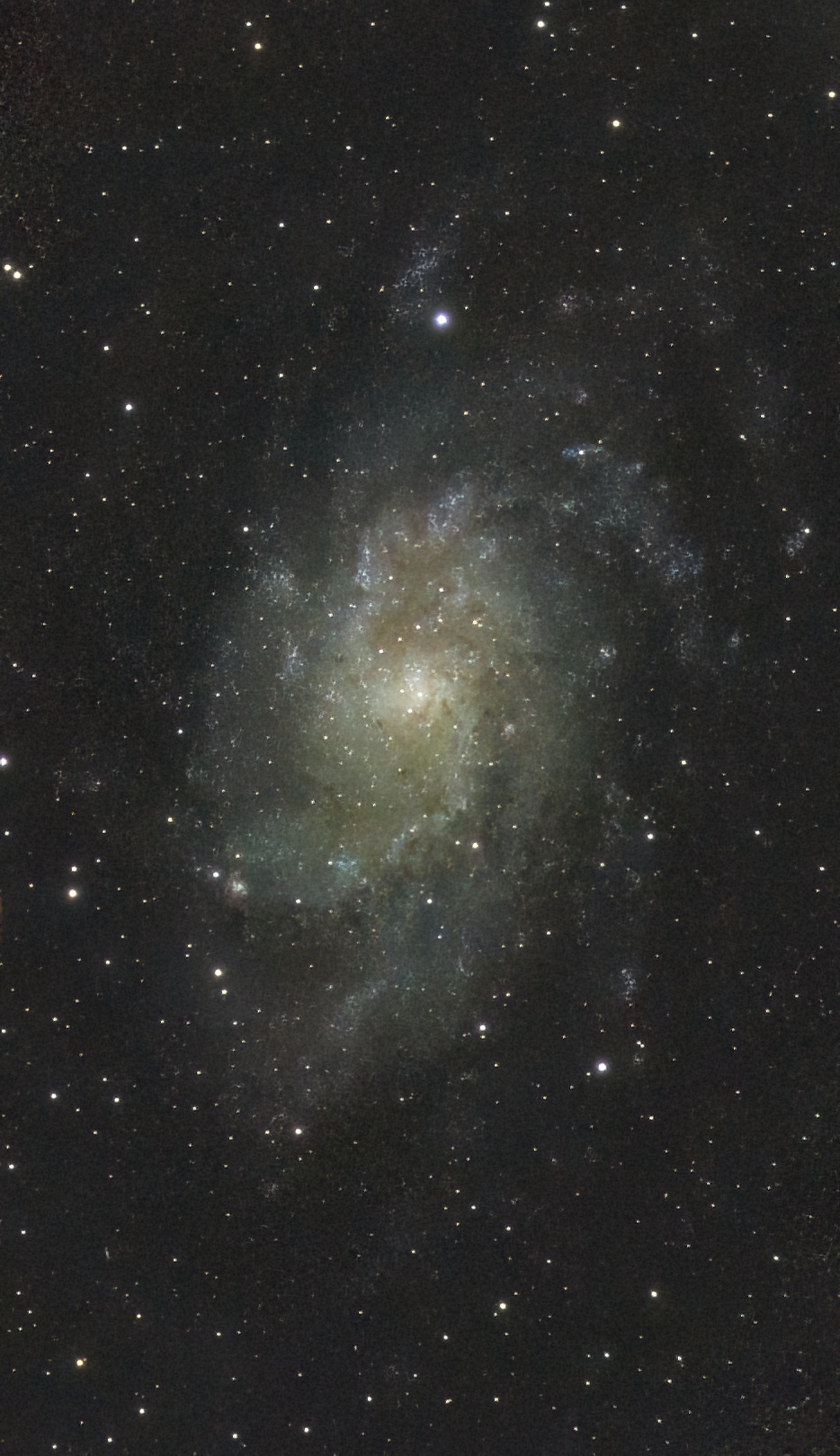 M33 Triangulum- / Dreiecks-Galaxie