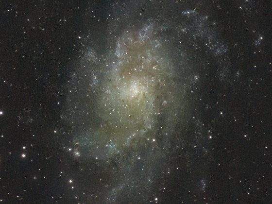M33 Triangulum- / Dreiecks-Galaxie