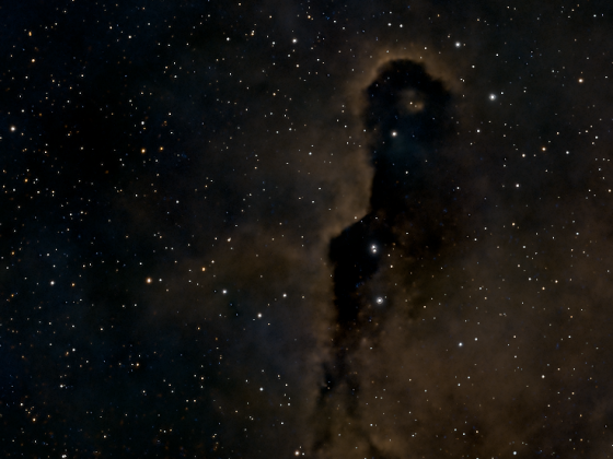 IC 1396A mit dem Seestar